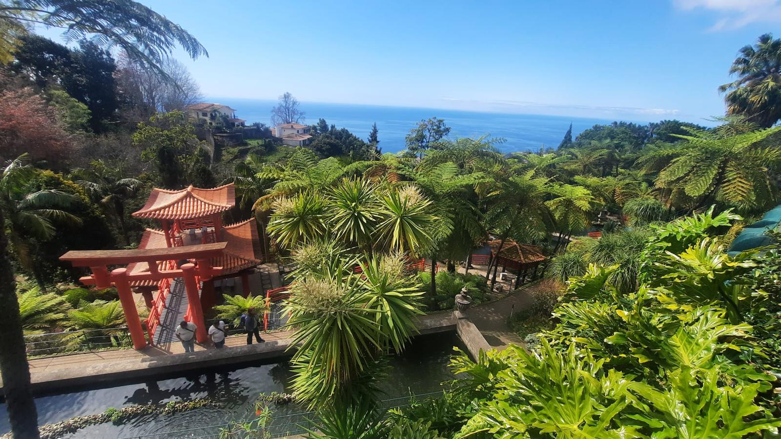 Madeira na podzim