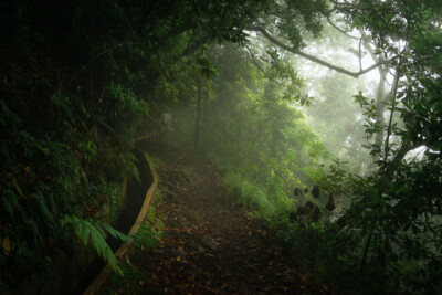levada caldeirao verde