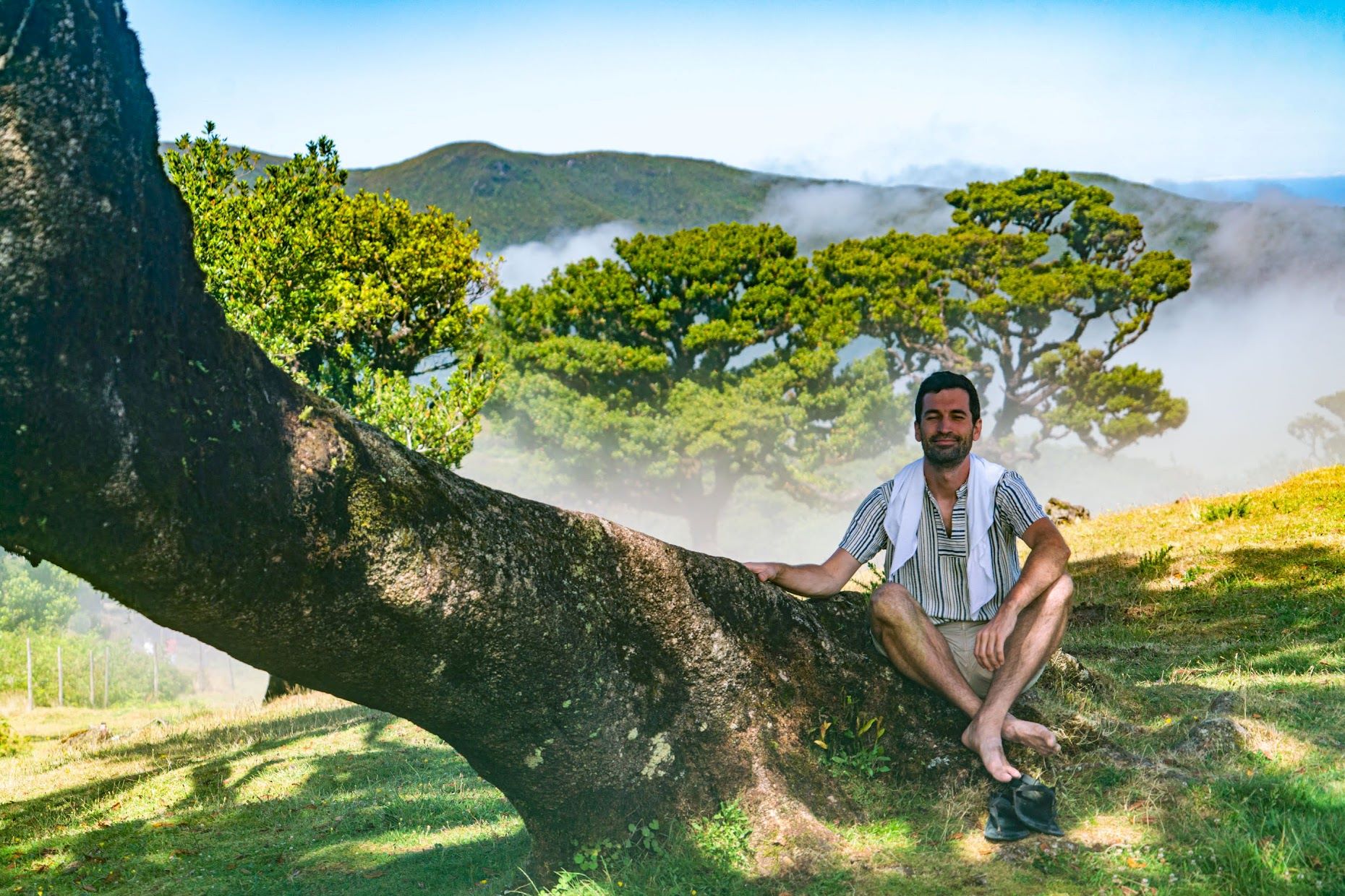 Pohádkový les Fanal, Madeira
