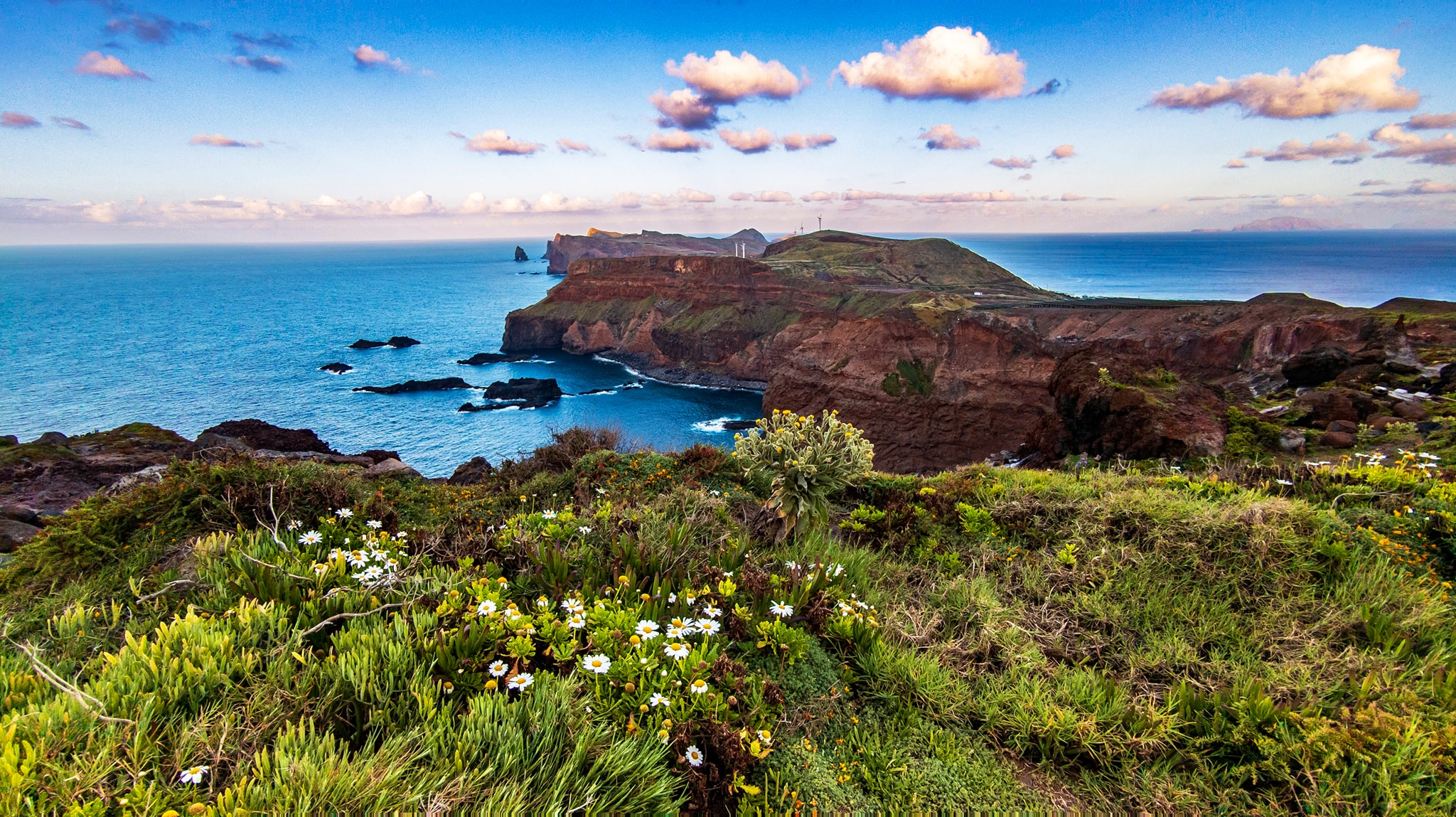 Jaro na Ponta de Sao Lourenco