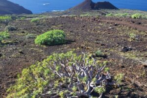 Výhled na Atkantik z El Hierra