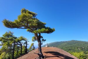 Pěší turistika vnitrozemím ostrova, El Hierro