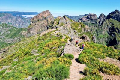 Zelené hory Madeiry