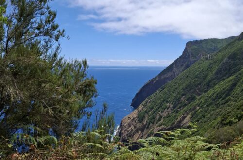 Recenze Madeira