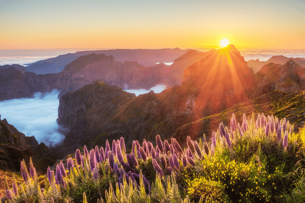 Pico do Arieiro západ slunce