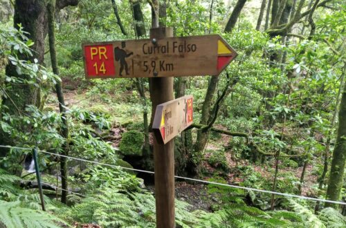 Levada dos Cedros