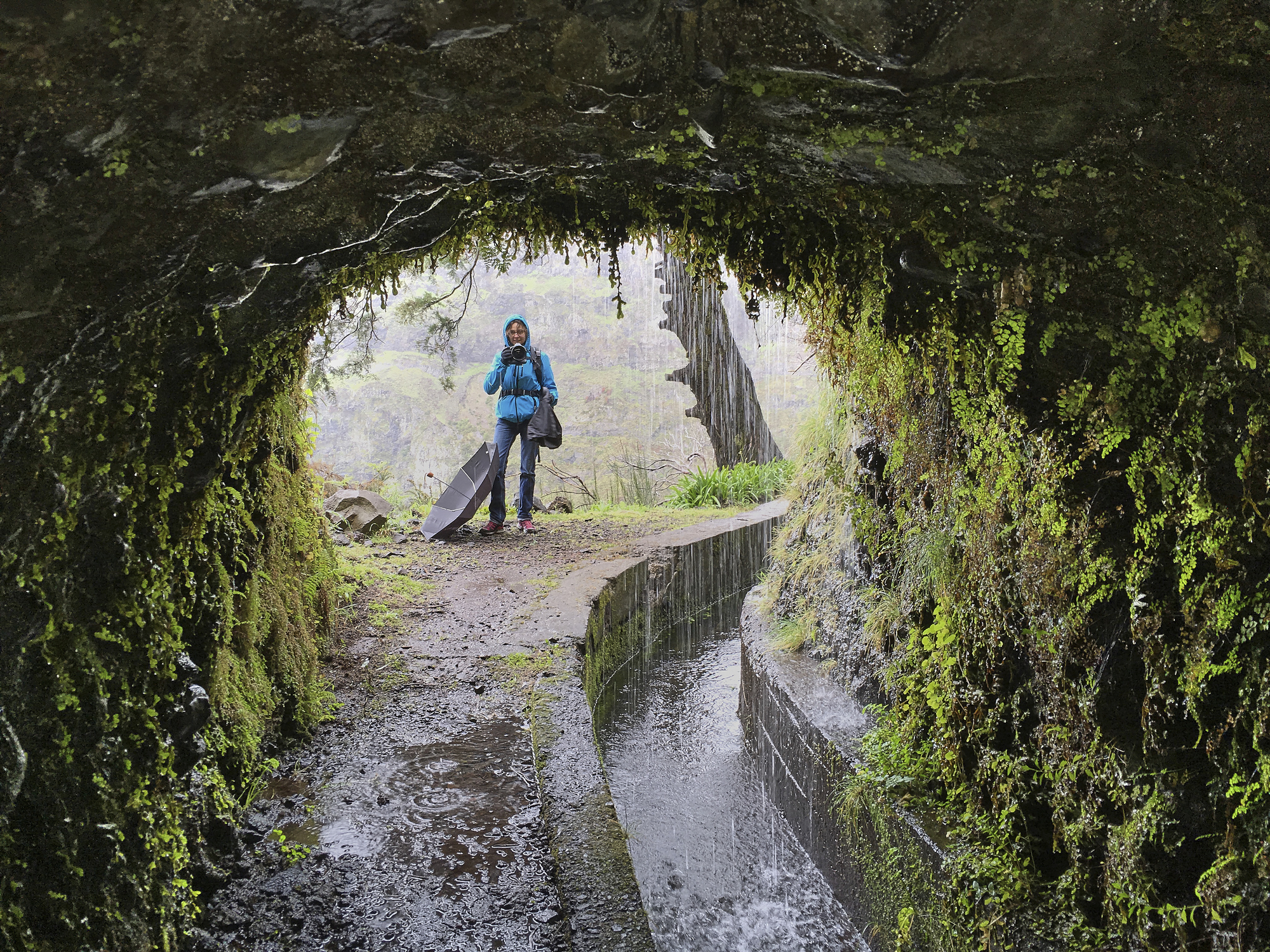 Destivy den na Madeire